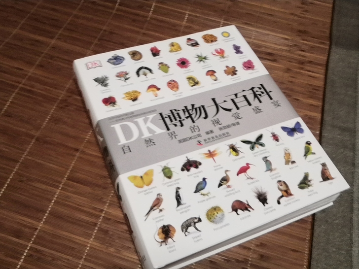 DK博物大百科 点读版