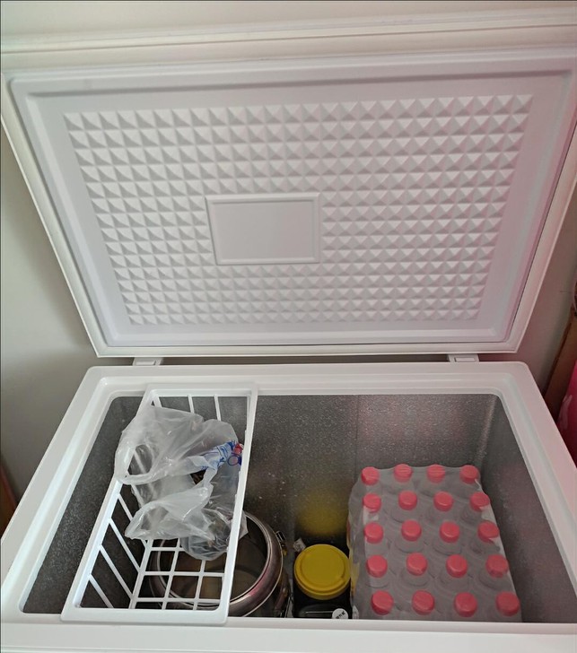 帮朋友处理夏新冰柜，节能保鲜两用小冷柜，多...