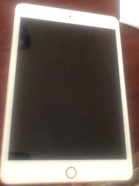 ipadmini5  64g wifi 金色