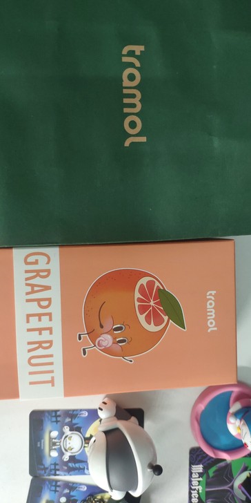 tramol钢笔墨水套装 全新 包装盒袋都在