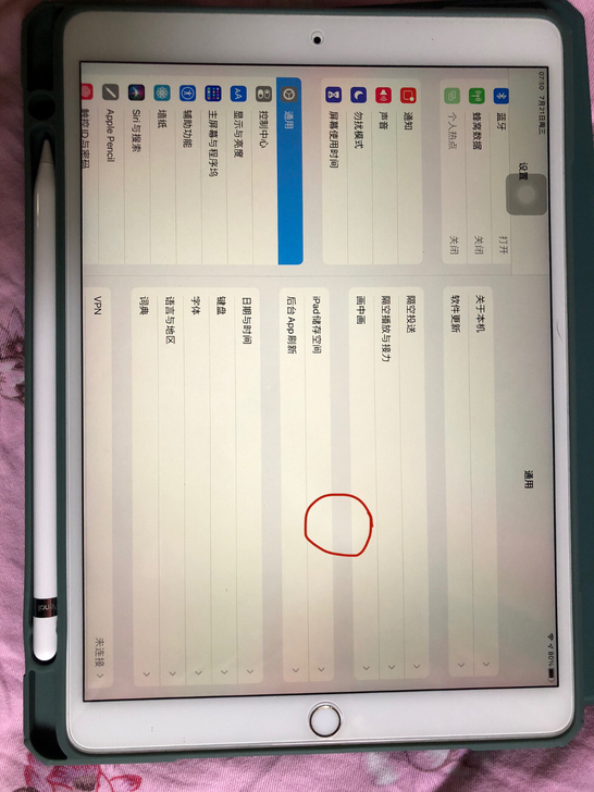 iPad Pro10.5 512g插卡国行...