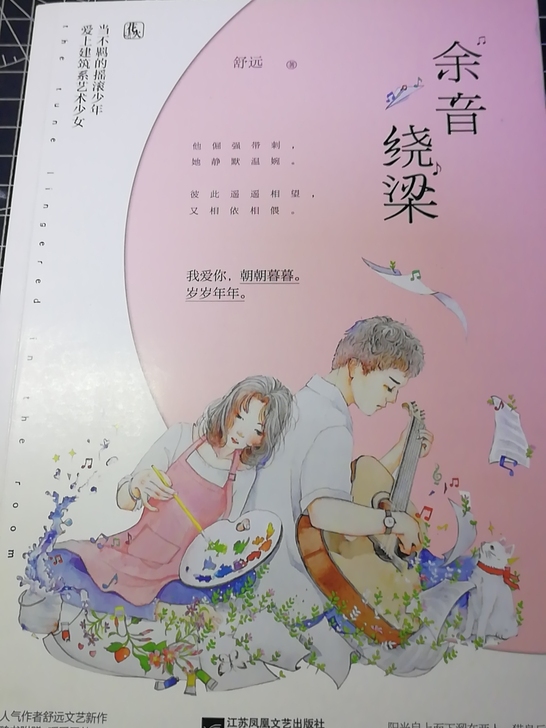 畅销小说 青春校园《余音绕梁》作者舒远