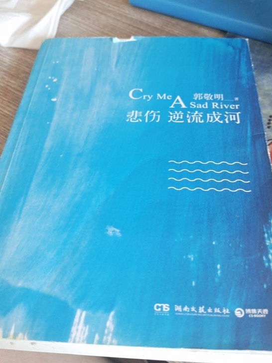 悲伤逆流成河小说郭敬明