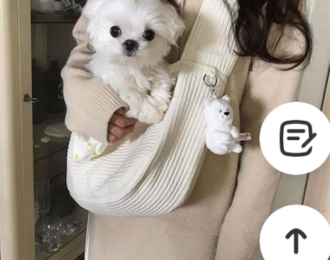 果柠莞尔 女士包  我家小猫小时候用过现在...