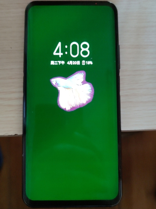 努比亚手机 Z20 手机进水 主屏变绿 副...