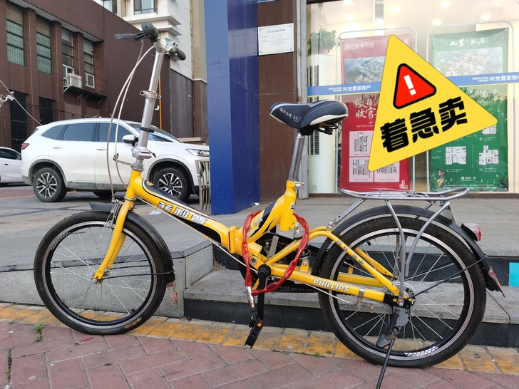 菲利普可折叠自行车,女士,孩子代步优质小车...
