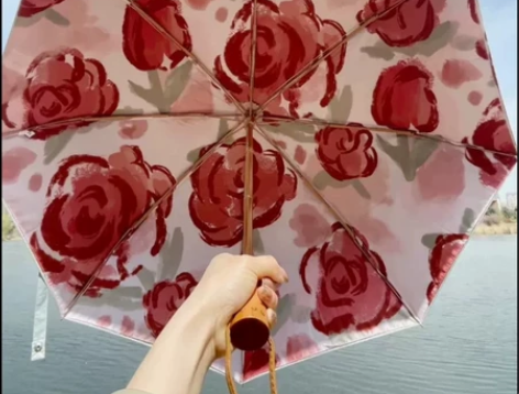 小红书同款玫瑰雨伞 感兴趣的话点“我想要”...