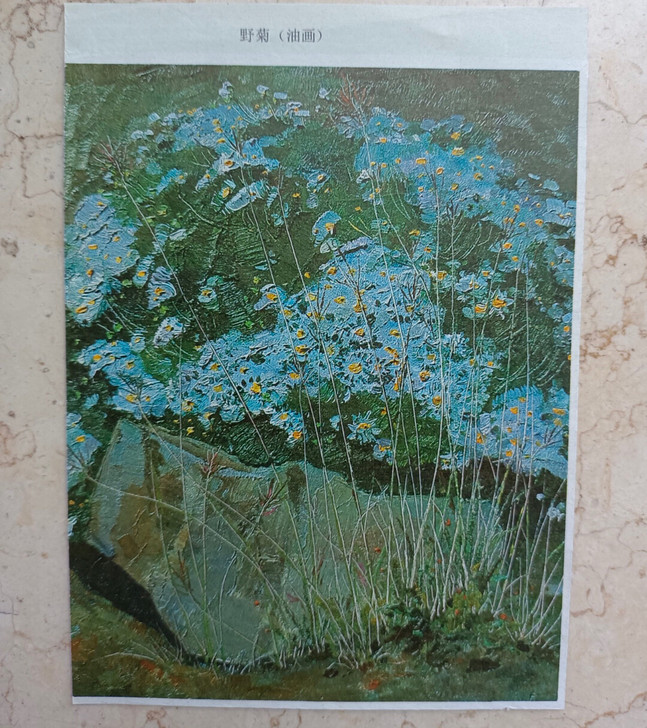 早期剪报,油画作品《野菊》