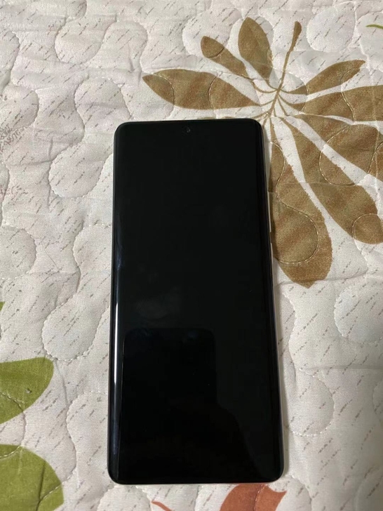 魅族18pro8/256G飞雪流光，保修到...