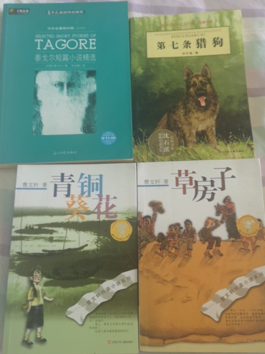 中学生必读书目《泰戈尔短篇小说》《草房子》...