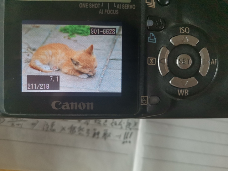 佳能eos 350d  数码单反相机  成...