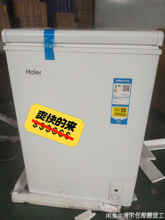 海尔（Haier）100升直冷卧式冷柜 冷...