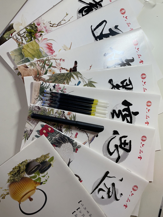 从入门笔画到诗歌练字皆有，内页清晰，外赠褪...