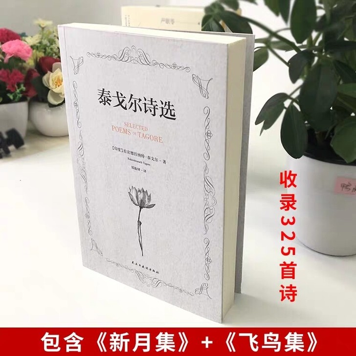 正版 泰戈尔诗选 中英双语版 泰戈尔诗集 ...
