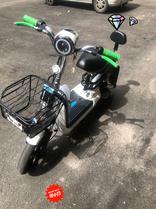 绿源电动车！48V12a！去年底刚换电池！...