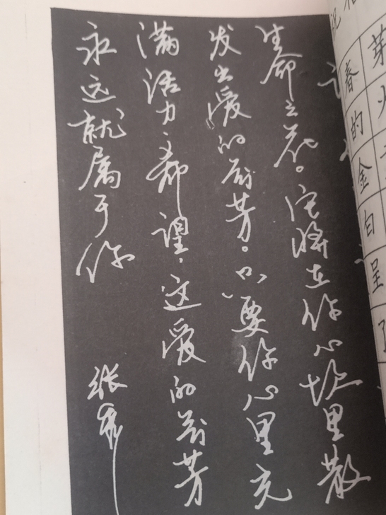 钢笔字帖,张秀字帖楷行书。库存的,品相高看...