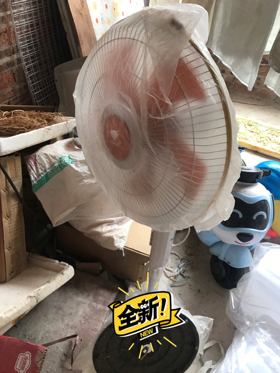 风扇落地扇家用电风扇，以前开店改行剩下的十...