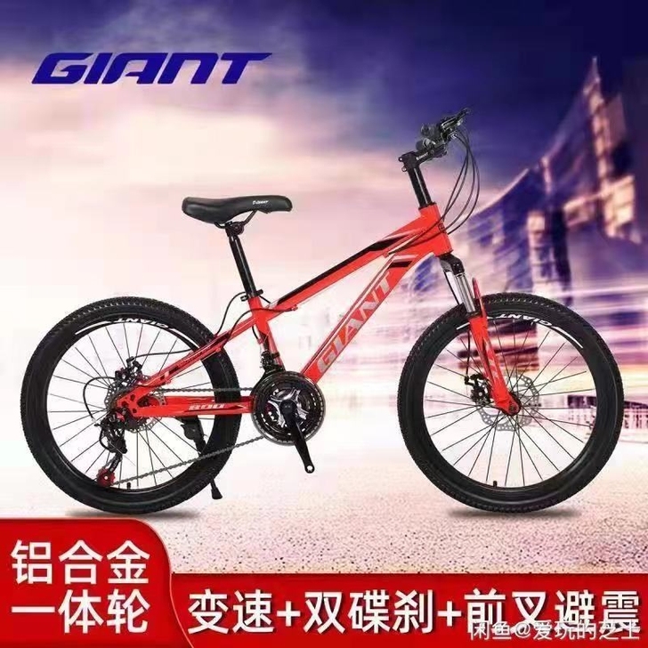 儿童捷安特山地车自行车男孩女孩中小学生单车...