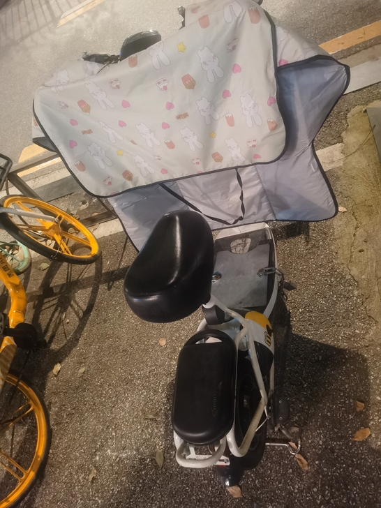雅迪电动车，锂电池的，可拆卸充电。48v1...