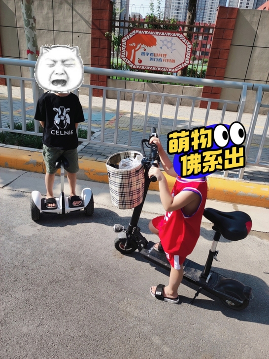 上海凤凰折叠电动车