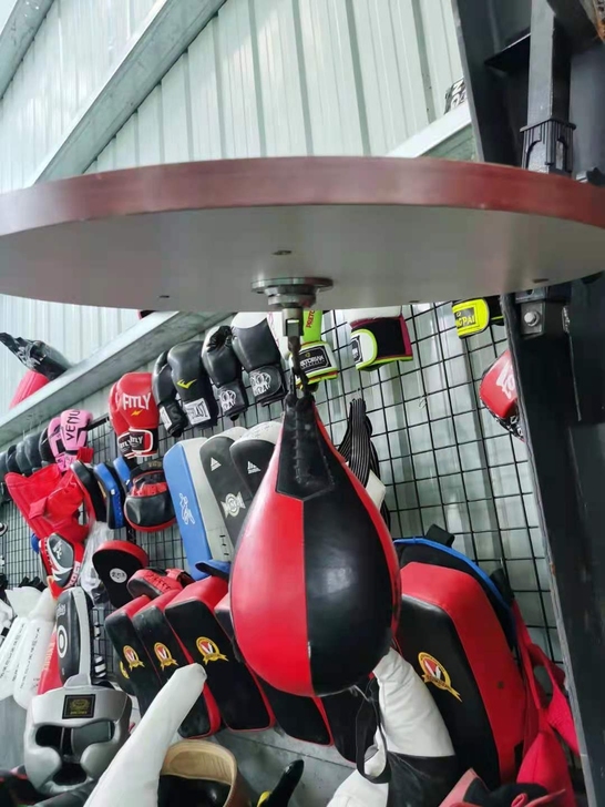 挂壁式拳击速度球，150元，不包邮
