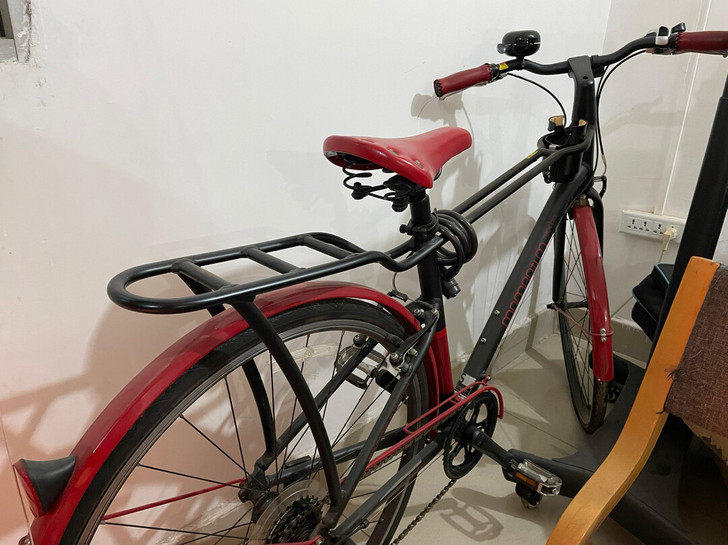 捷安特复古单车