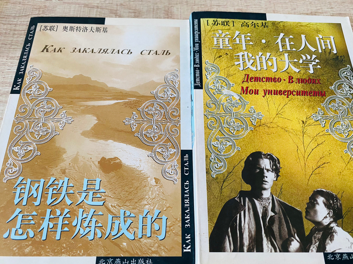 奥斯特洛夫斯基《钢铁是怎样炼成的》6元一本...