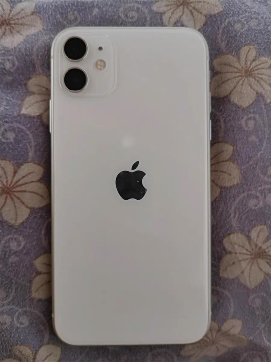 品牌型号 苹果11