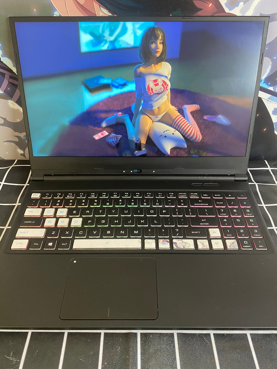 神舟战神Z7家笔记本游戏本非黑幽灵暗影精灵...