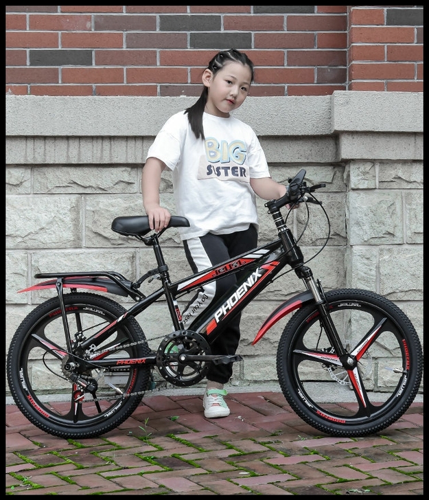凤凰牌山地车18/20/22寸单车男女儿童...