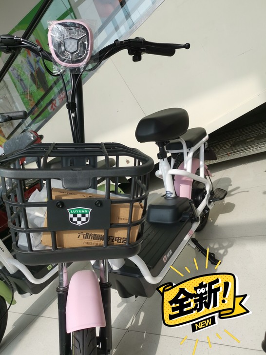 全新绿源电动车，只要1399。不接受砍价。