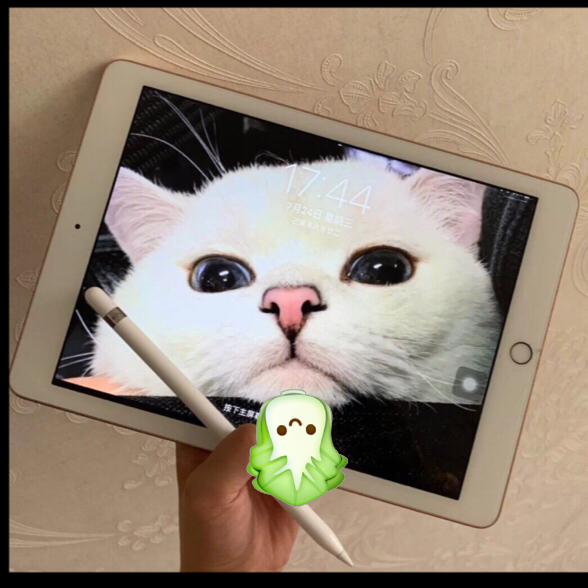 iPad Air2 闲置平板支持电容笔画画...