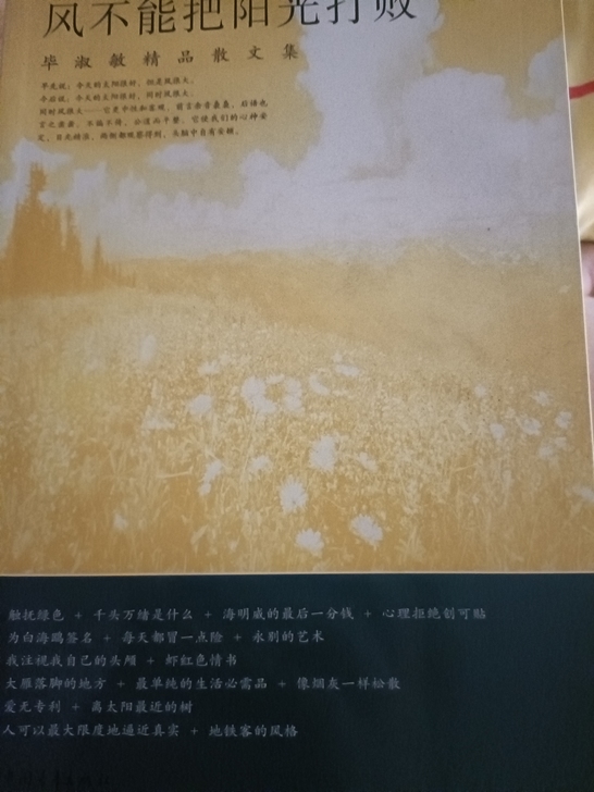 爱心义卖