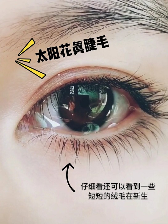 【买一送二】李佳琦 睫毛增长液 生发液  ...