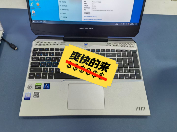 机械师F117 144Hz全面屏游戏本十代...