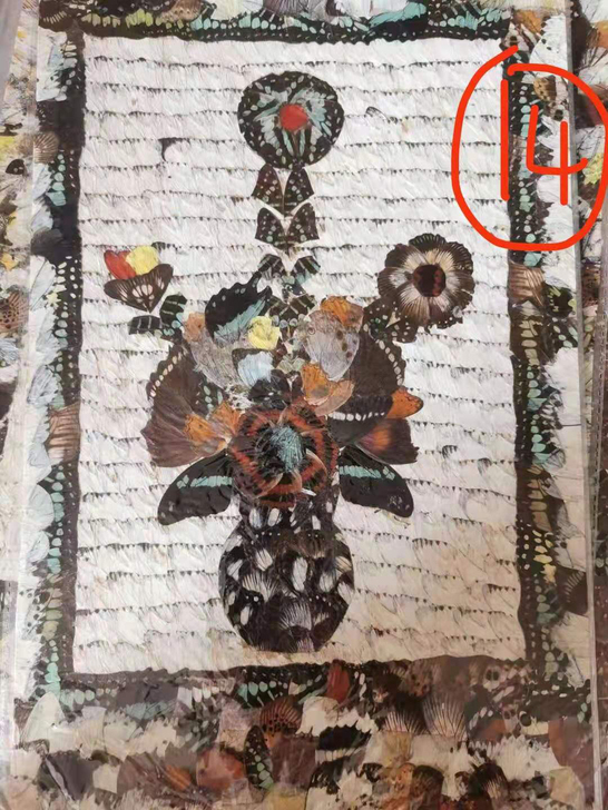 非洲蝴蝶画，纯手工制作，来自尼日利亚的蝴蝶...