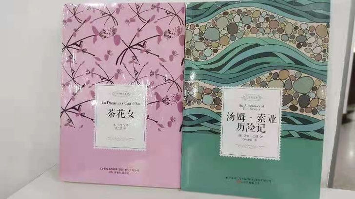 小学生读物，全新 正版图书，新华书店购买