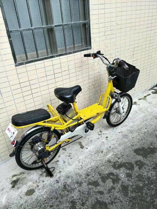 电动车 48伏电动车 48V电动车 国标车...