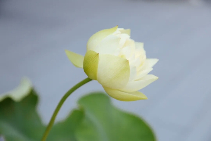 ddr3 4g 1600mhz，有两条，自...