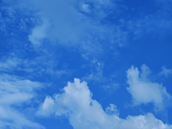 一加九pro 1加9pro 8+256闪银...