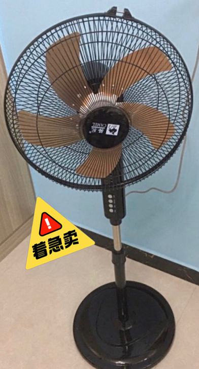 骆驼16寸家用静音三档调节实惠自然风台扇落...