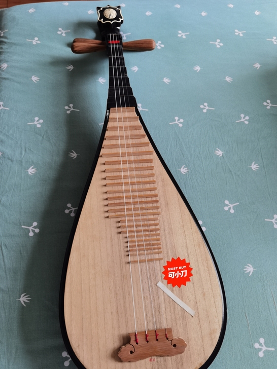虎丘琵琶，95新，孩子转学钢琴了，包装齐全...