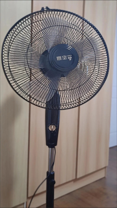 活动捡漏，全新的，志高电风扇落地扇家用电风...