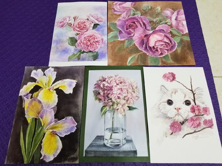 美院毕业，入坑水彩。出售部分练习作品回血。