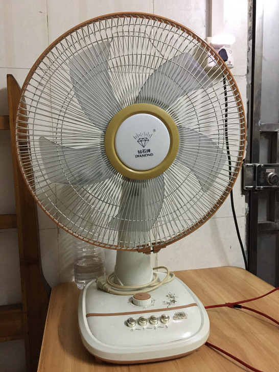 那一年初入广东，刚好和夏天有个约会。于是乎...