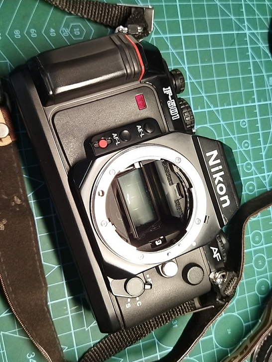 尼康胶片机f-501。