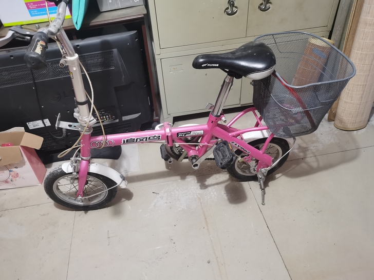 追风鸟折叠自行车，正常使用。后座小篮子是新...