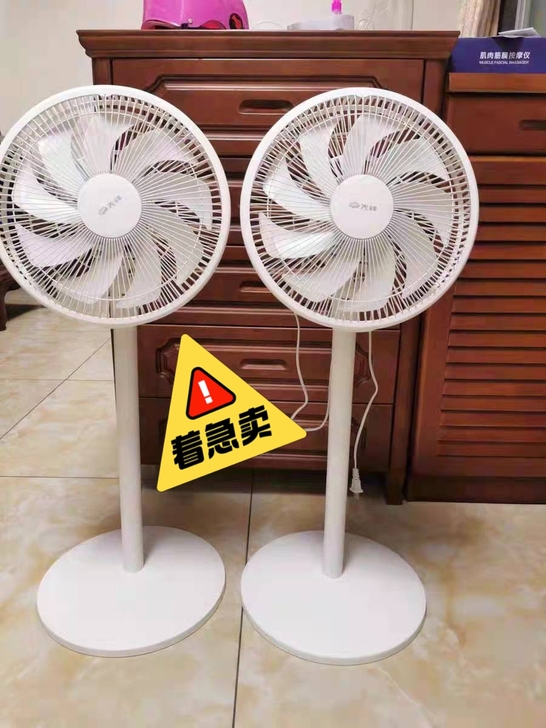 【先锋】一级能效九叶家用落地扇