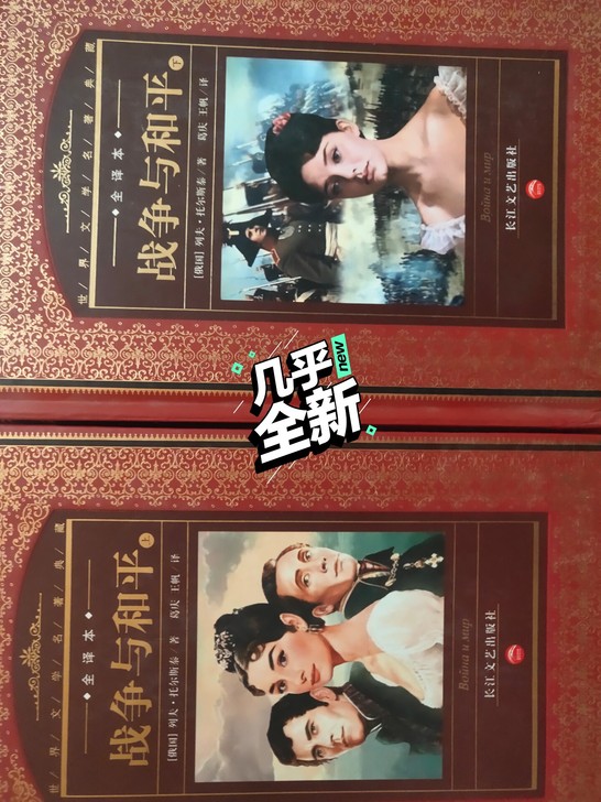 战争与和平（精装本）上下，长江文艺出版社，...