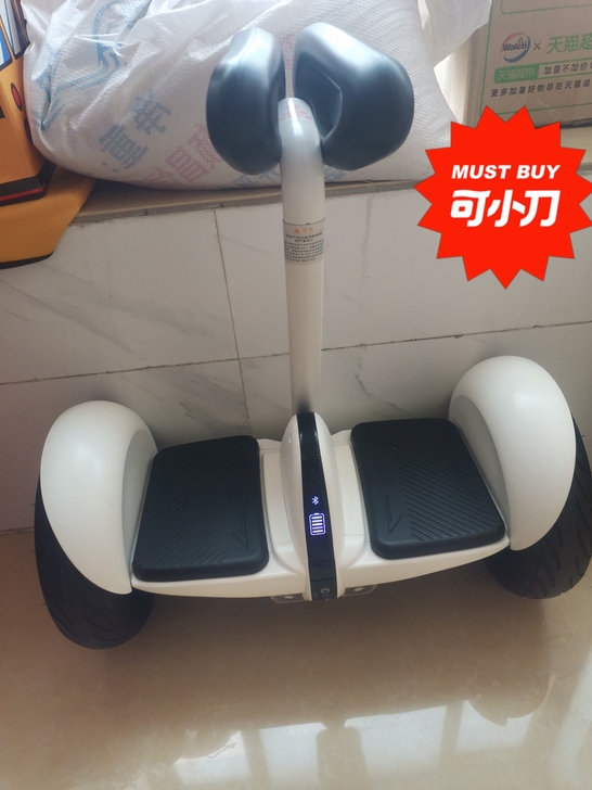 小米平衡车，正常使用，外观还挺新的，公里数...